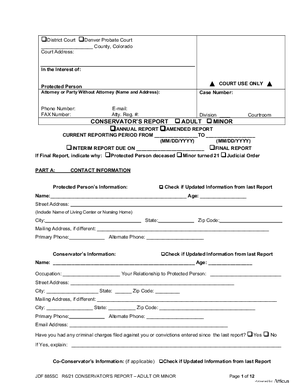 Thumbnail of Colorado Form Conservator's Report