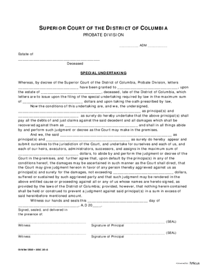 Thumbnail of District of Columbia Form Special Undertaking
