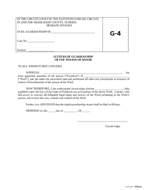 Thumbnail of Florida Form Letters Of Guardianship Of The Person Of Minor