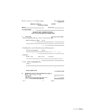 Thumbnail of Georgia Form Minor Conservator Inventory And Asset Management Plan