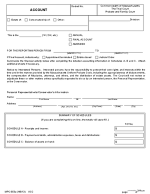Thumbnail of Massachusetts Form Account Without Schedules