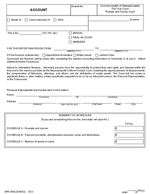 Thumbnail of Massachusetts Form Account