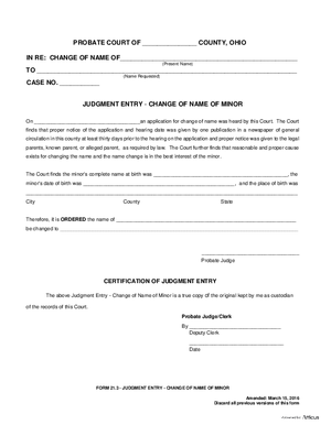Thumbnail of Ohio Form Judgment Entry – Change Of Name Of Minor