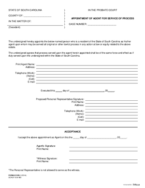 Thumbnail of South Carolina Form Appointment Of Agent For Service Of Process