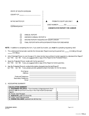 Thumbnail of South Carolina Form Conservator Report For A Minor