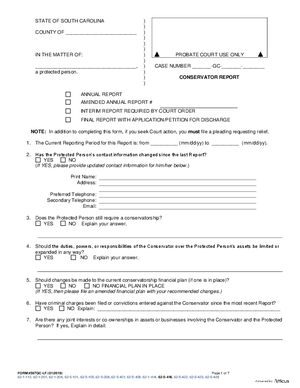 Thumbnail of South Carolina Form Conservator Report - Long Form