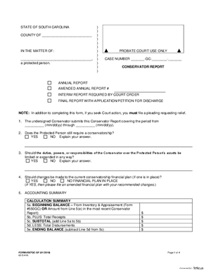 Thumbnail of South Carolina Form Conservator Report - Short Form