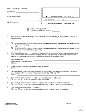 Thumbnail of South Carolina Form Financial Plan Of Conservator