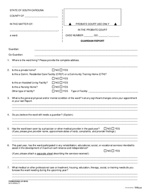 Thumbnail of South Carolina Form Guardian Report